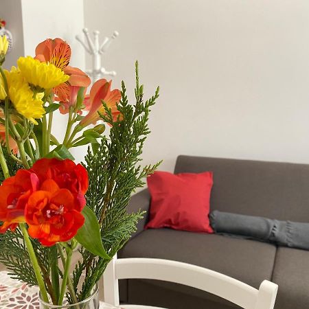 Apartament Donna Filomena Monopoli Zewnętrze zdjęcie