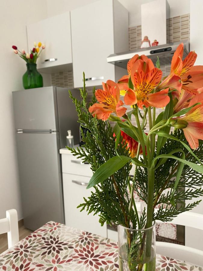 Apartament Donna Filomena Monopoli Zewnętrze zdjęcie