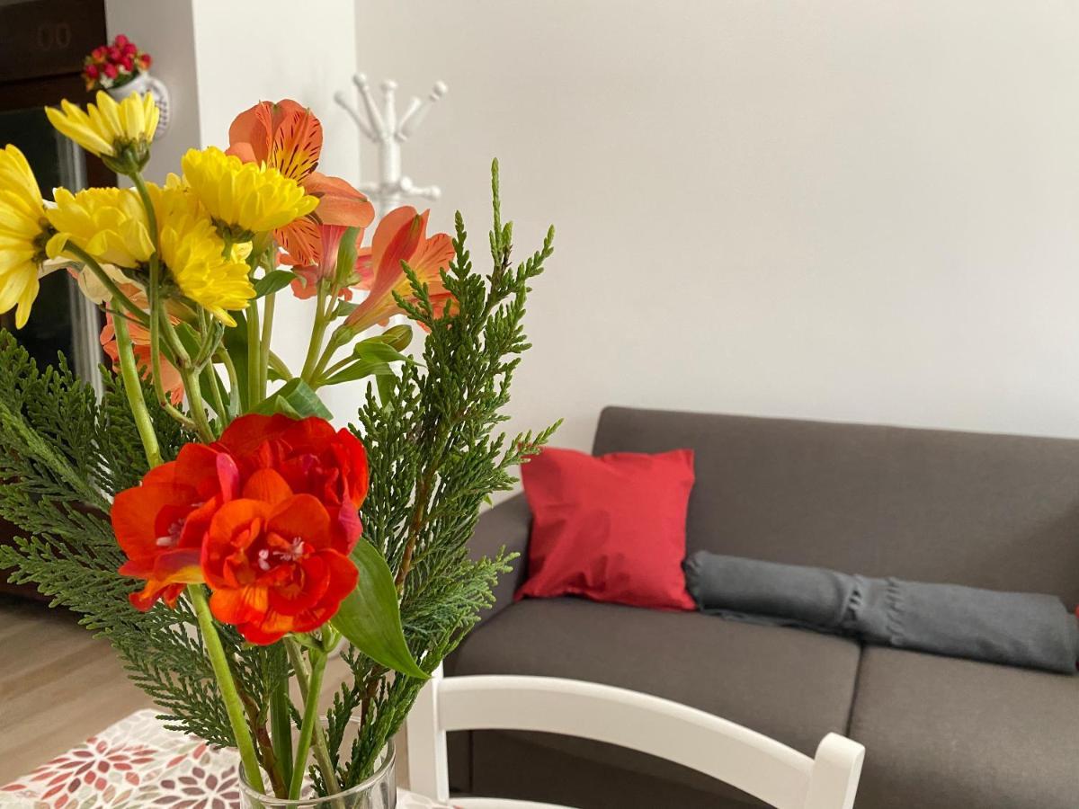 Apartament Donna Filomena Monopoli Zewnętrze zdjęcie